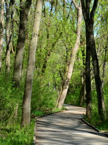 Cherokee, Edna Taylor, Pheasant Branch 064