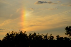 Promise of a new day