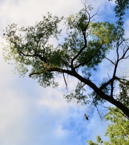 Rolands Grad Party-Cherokee 124