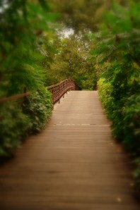 Bridge to the Other Side